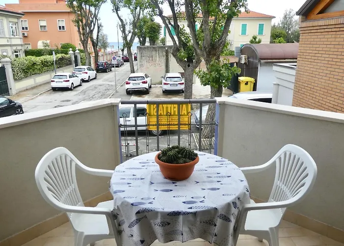 Lilly - Lilly * Senigallia